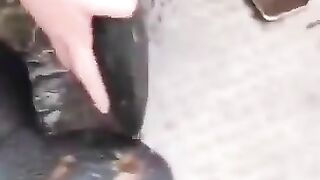 Ya Allah tu Bada  beniyaz hey