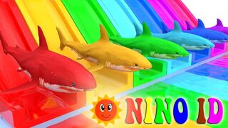 Video For Kids | Nursery Rhymes & Kids Songs #3