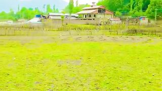 status,status video,status song,status whatsap,beast song,good song,video,natural