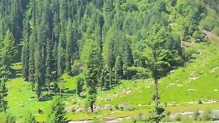 status,status video,status song,status whatsap,beast song,good song,video,natural