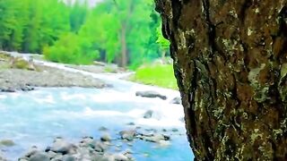 status,status video,status song,status whatsap,beast song,good song,video,natural