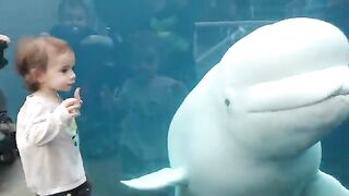 Funny Kids at the Aquarium Girl SPOOKED By A Beluga Whale!