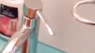 Cat brushes teeth