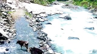 status,status video,status song,status whatsap,beast song,good song,video,natural