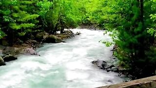 status,status video,status song,status whatsap,beast song,good song,video,natural