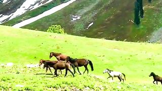 status,status video,status song,status whatsap,beast song,good song,video,natural