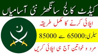 Cadet College Sanghar Jobs 2024 | Latest Government Teaching Jobs Update