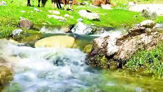 status,status video,status song,status whatsap,beast song,good song,video,natural