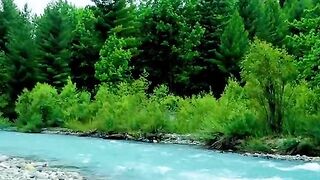 status,status video,status song,status whatsap,beast song,good song,video,natural