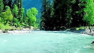 status,status video,status song,status whatsap,beast song,good song,video,natural