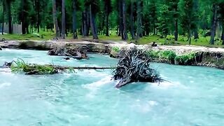 status,status video,status song,status whatsap,beast song,good song,video,natural