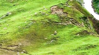 status,status video,status song,status whatsap,beast song,good song,video,natural