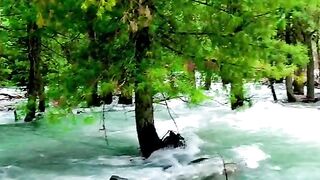 status,status video,status song,status whatsap,beast song,good song,video,natural