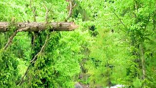 status,status video,status song,status whatsap,beast song,good song,video,natural