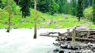 status,status video,status song,status whatsap,beast song,good song,video,natural