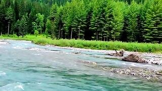 1130,status,status video,status song,status whatsap,beast song,good song,video,natural