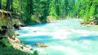 status,status video,status song,status whatsap,beast song,good song,video,natural