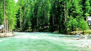 status,status video,status song,status whatsap,beast song,good song,video,natural