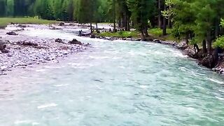 status,status video,status song,status whatsap,beast song,good song,video,natural