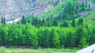 1140,status,status video,status song,status whatsap,beast song,good song,video,natural
