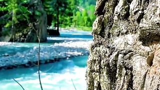 status,status video,status song,status whatsap,beast song,good song,video,natural
