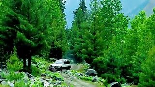 status,status video,status song,status whatsap,beast song,good song,video,natural