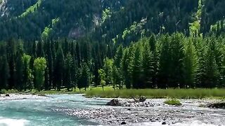 status,status video,status song,status whatsap,beast song,good song,video,natural