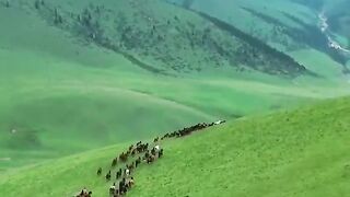 status,status video,status song,status whatsap,beast song,good song,video,natural