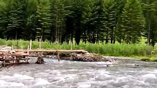 status,status video,status song,status whatsap,beast song,good song,video,natural