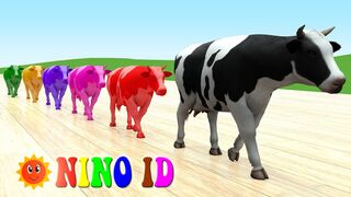 Video For Kids | Nursery Rhymes & Kids Songs #8