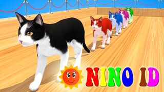 Video For Kids | Nursery Rhymes & Kids Songs #9