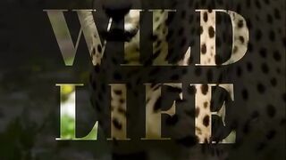 World  wild life day