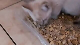 Mickey liked to play in the sand when he was little