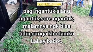 ayam broiler || kata kata lucu 543