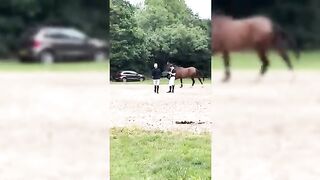 The Best HORSE ???? TikTok Compilation #79""
