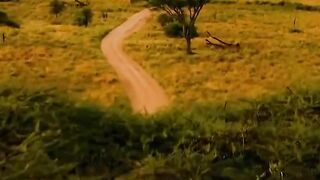 Watch the beauty of Africa tours and travel