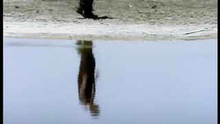 Everlast - What It_s Like (Официальное музыкальное видео) [HD](720P_HD).