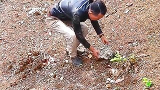 Meteor rock