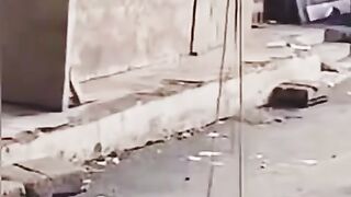Afraid of cats