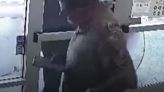 Masked men stage brazen ‘smash-and-grab' robbery of US jewellery store _ #AJshorts