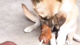 لماذا تمنع عنه الأكل