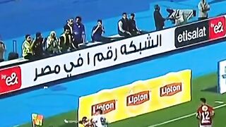 علي معلول
