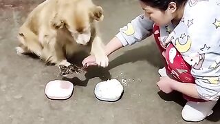maa_mere_maa_❤️????_#viralvideo_#funny_#rockythecutie_#comedyvideos_#maa_#love_#funny_#yt(480p).