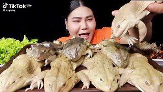 extreme mukbang Big frog
