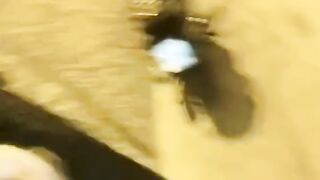 full video 237