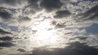 The Majesty of the Natural World