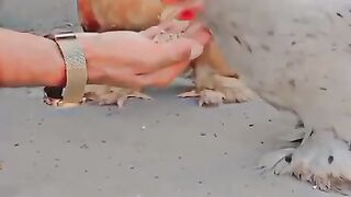 Astonishing 2