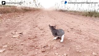 Ele nasceu com os dois membros anteriores amputados_