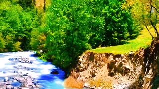Kumrat Valley Pakistan Hidden Gem You Need To Visit #kumrat #kumratvalley #kumratvalleypakistan
