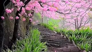 راحه وهدوء 2